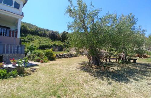 Apartments Bubica - Photo 29