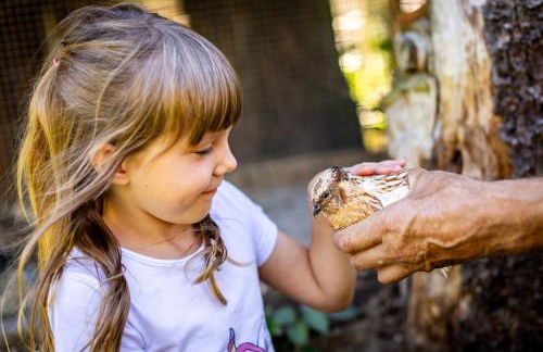 Waldblick Ferienhof Wolschendorf - Foto 17