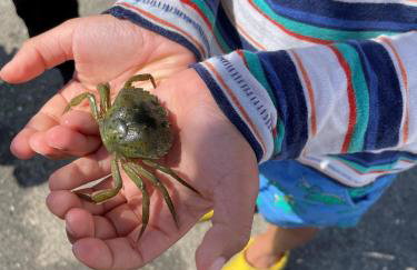 The Coach House - Mudeford Quay - Foto 11