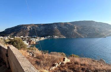 Three Olive Homes - Foto 8