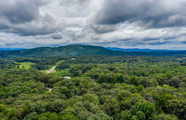 The Treehouse - Foto 54