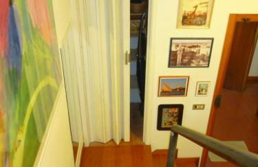 il geranio - Foto 14