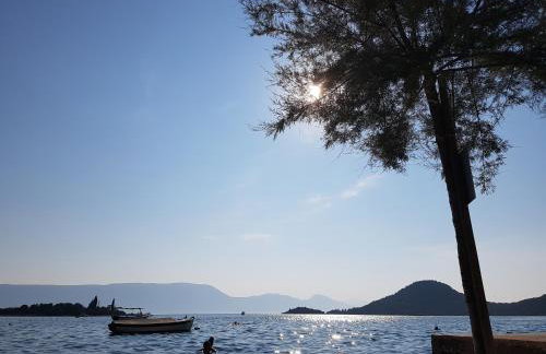 Apartman OZANA - Photo 42