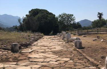 Casa dell'Antica Norba, Norma - big house - Photo 15