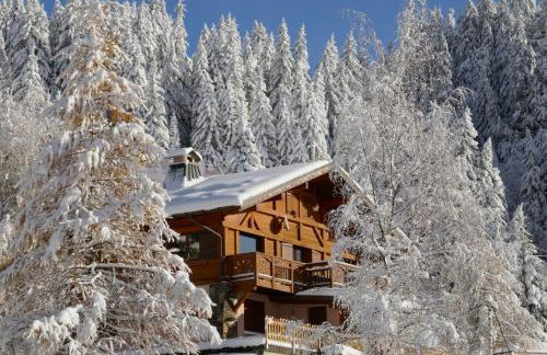 Les Saisies coté Légette appartement dans chalet LE NEPAL - Foto 6