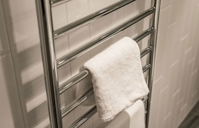 Elk at Falls - Photo 42