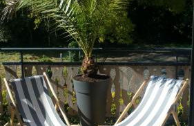 Appartement 90 m2 avec parking terrasse balcons, proche du port et plages - Foto 18