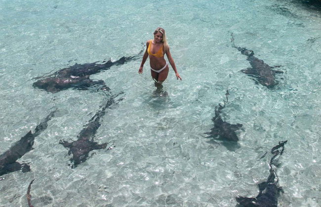 Excursión a la Isla de los Cerdos en avioneta - Foto 7