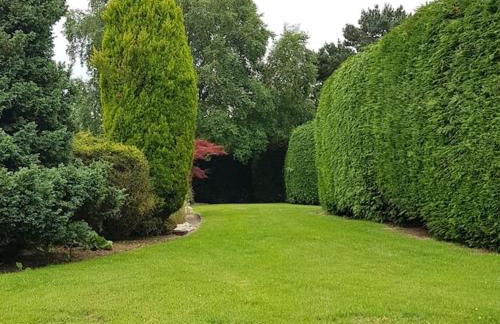 Chadwich Heights - Foto 12