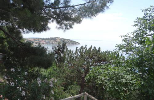 Apartments Bassi - Foto 47