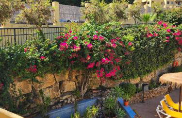 Green Hill Apartment - Foto 48