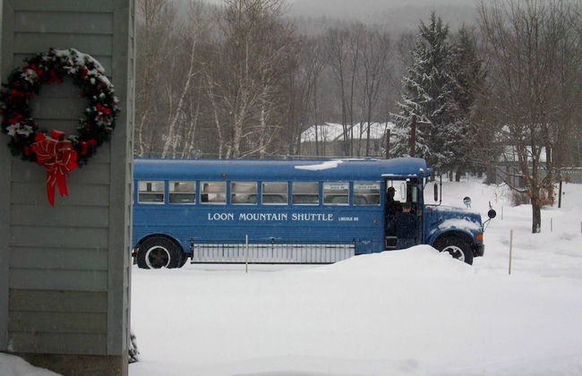 Loon Escape - Photo 27