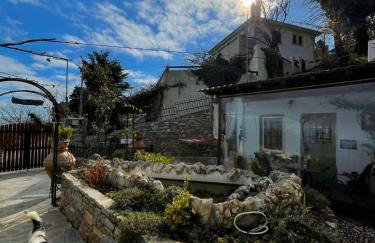 To giataki tou pappou - Foto 26