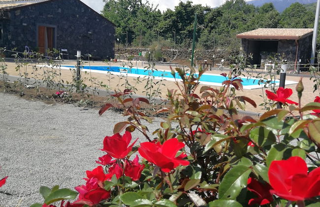 Viola nel Parco - Foto 28