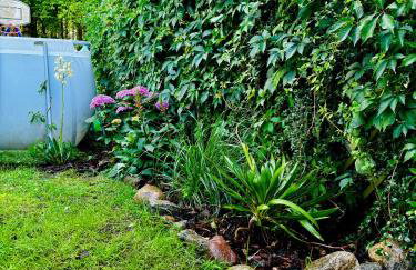 LakeView DomekNaKaszubach - Foto 28