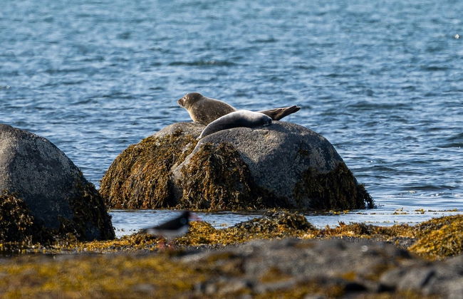 Mystic Light Lodge - Foto 10