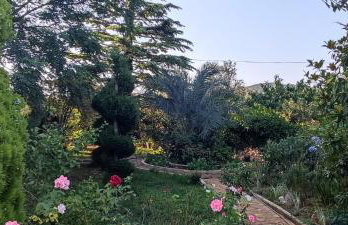 Villa Olive Island - Photo 73