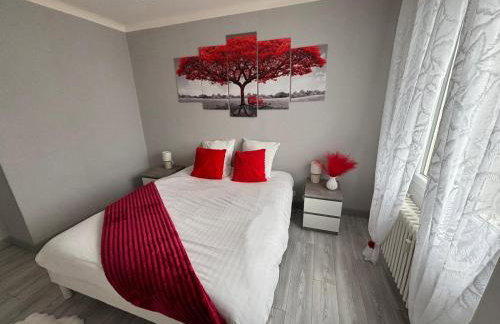 Appartement F4 meublé 75m2 trois chambres avec balcon - Foto 9