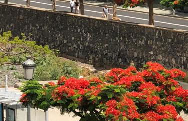 San Sebastián 65 - Foto 35