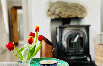 Pen Y Bont Cottage Llanuwchllyn Bala - Foto 15