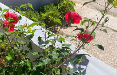 La Vita Villas - Foto 11