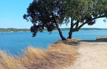 Lake View House _ Montargil - Foto 43