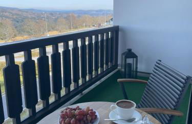 Two Apartaments Almberg - Mitterdorf-Mitterfirmiansreut - Foto 1