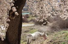 Xenia Alojamientos - Foto 73