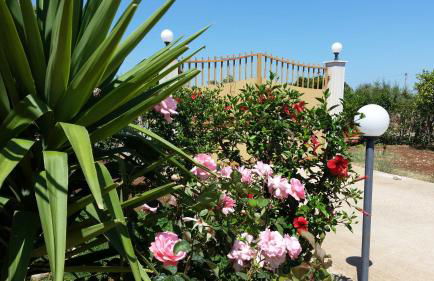 Villa Cristina - Foto 35