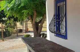 Monte do Ribeiro Baço - Monsaraz - Foto 7