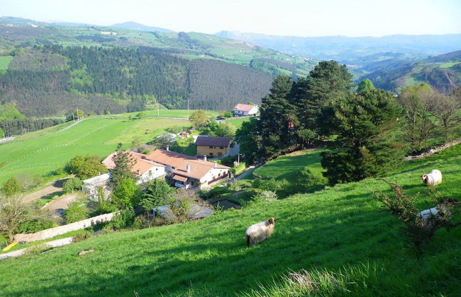 Gailurretan - Photo 51