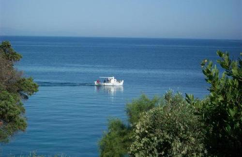 Villa Feia - Photo 25