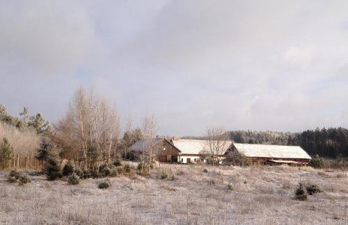 Jabłkowo-na skraju Puszczy Boreckiej ŚNIADANIA W CENIE - Foto 67