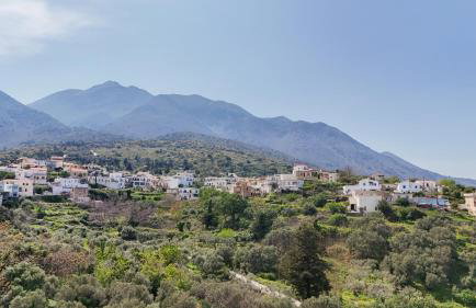 To Patriko - Foto 76