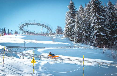 Godille Immobilier - Foto 66