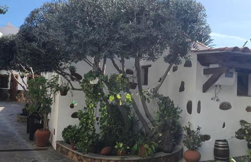 La Gallania de Papá Pepe - Foto 9