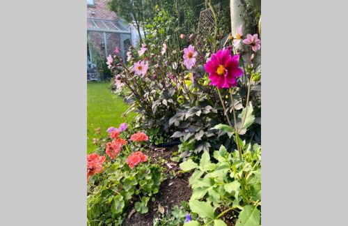 Lyndhurst - Victorian villa with heated pool - Foto 27