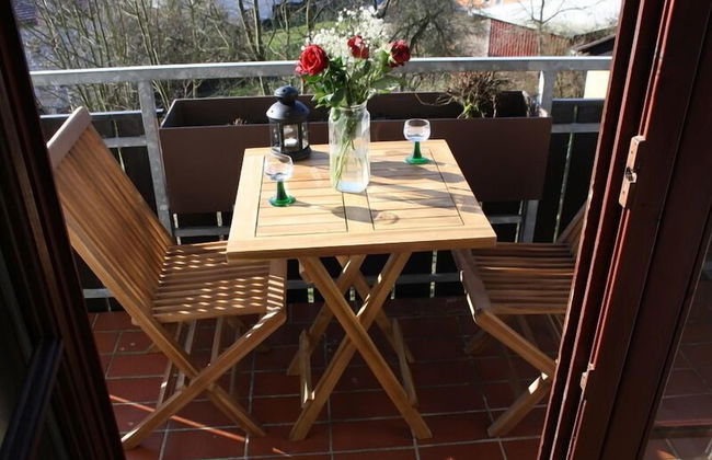 Ferienwohnungen Oberharzblick - Foto 29