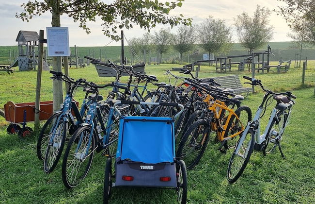 Holiday Home in Zeeland With Sauna - Photo 27