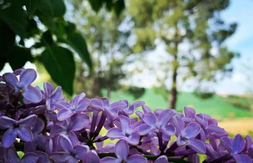 Naturaverde Country House - Foto 41