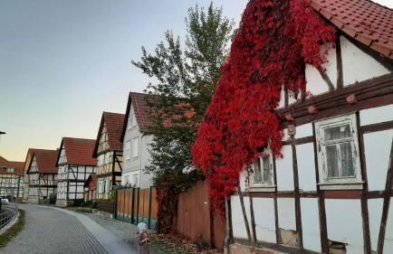 Stilvolle Ferienwohnung im Eichsfeld - Foto 23