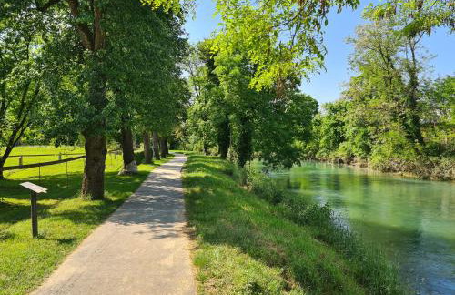 Happy Sparrow - Foto 70