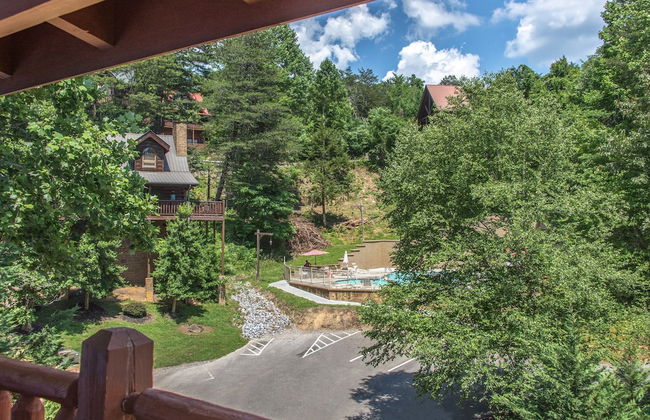 Firefly Nights - Foto 1