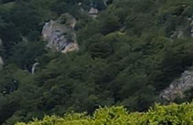 Dima Home Campo di Giove - Foto 23