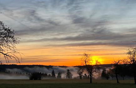 Bullau-bü - Appartment im Grünen - Foto 12
