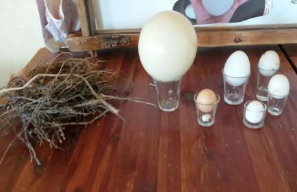 Agriturismo Su Solianu - Foto 30