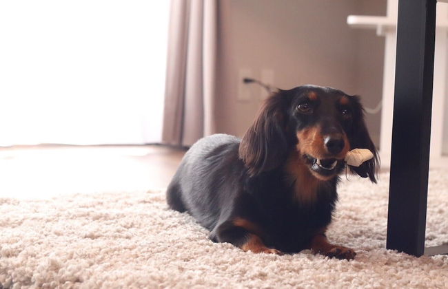 decopinhouse - Foto 70