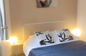 Strasbourg - Deux Chambres & Garage - Foto 4