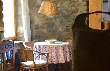 Casa Mingot SXVI Anciles Benasque - Photo 29