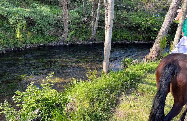 Casa Rural O Vilar - Photo 57